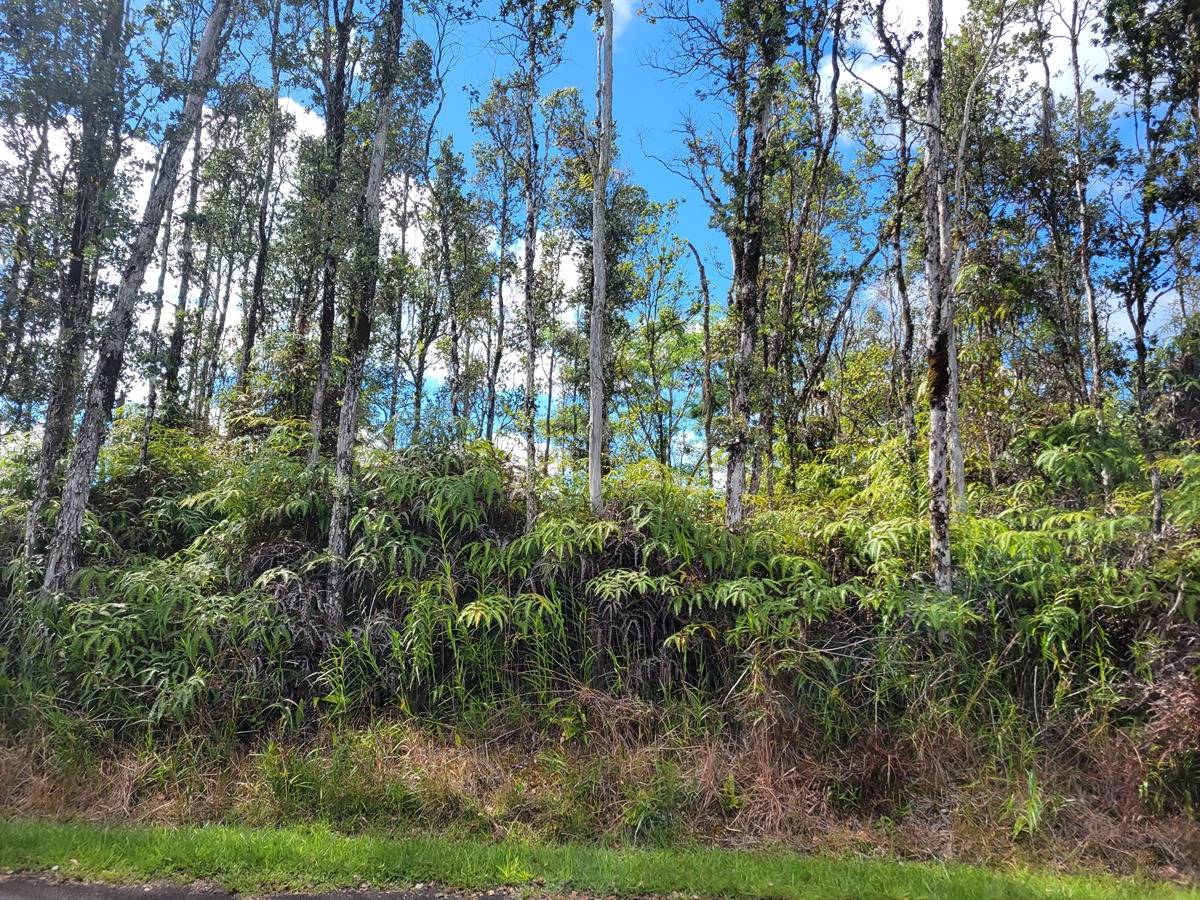 63 Seaview Road Pahoa, HI 96778 - Photo 2 of 3 Gallery Image 2
