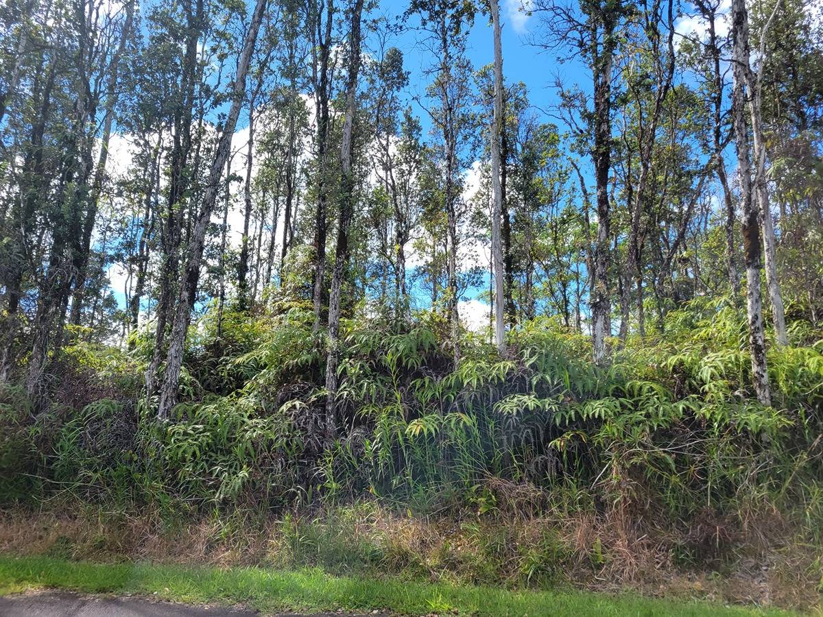 63 Seaview Road Pahoa, HI 96778 - Photo 3 of 3 Gallery Image 3