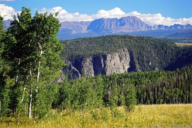 a view of a yard with plants and a bench