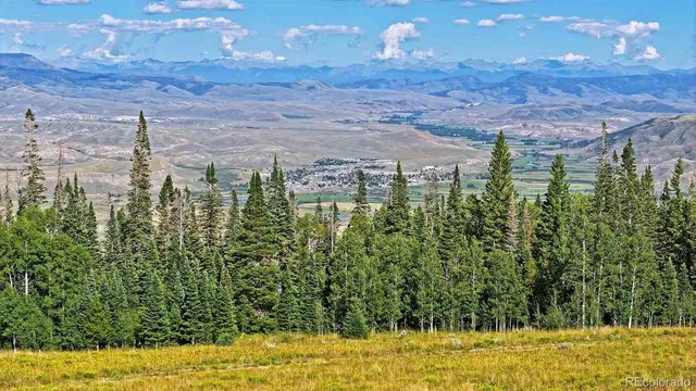 a view of swimming pool with lawn chairs and large trees
