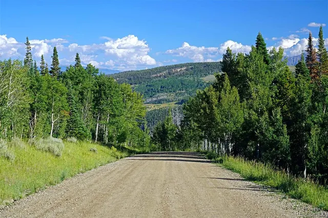 a view of a city street from a yard