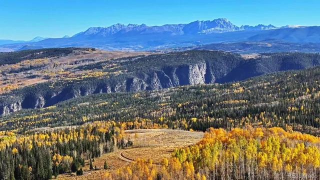 a view of a backyard with wooden fence