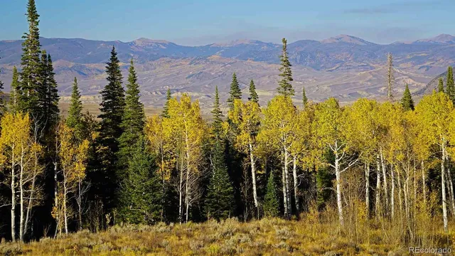 a view of lake with lots of tress in background