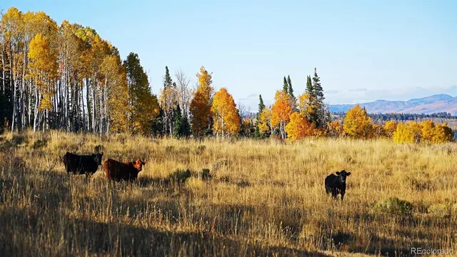 a view of a city with mountains in the background