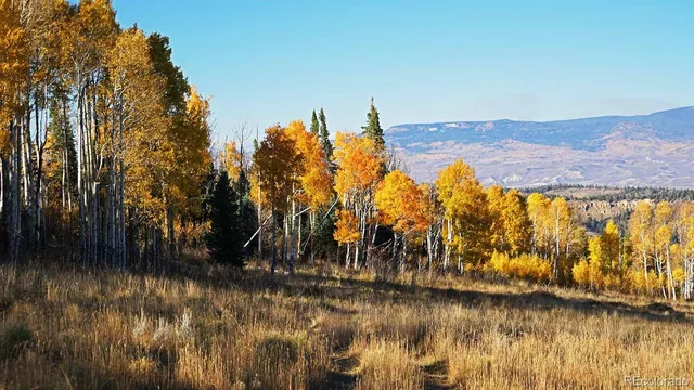 a view of a city with flower plants