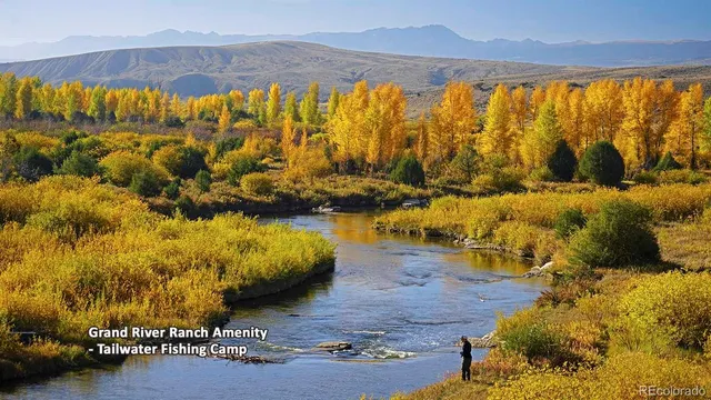 a view of a field with lots of green space