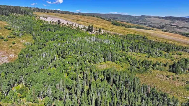a view of a lush green space with sea