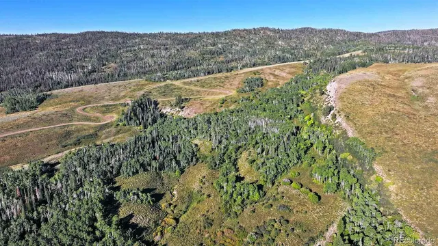 a view of a field with a mountain in the background