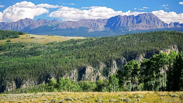 a view of a yard with an outdoor space