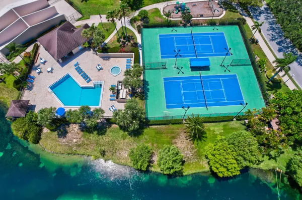 a view of a garden with plants and large trees