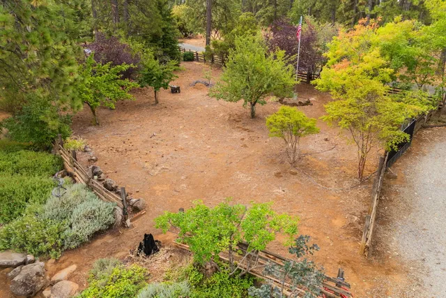 a view of a pathway with a yard