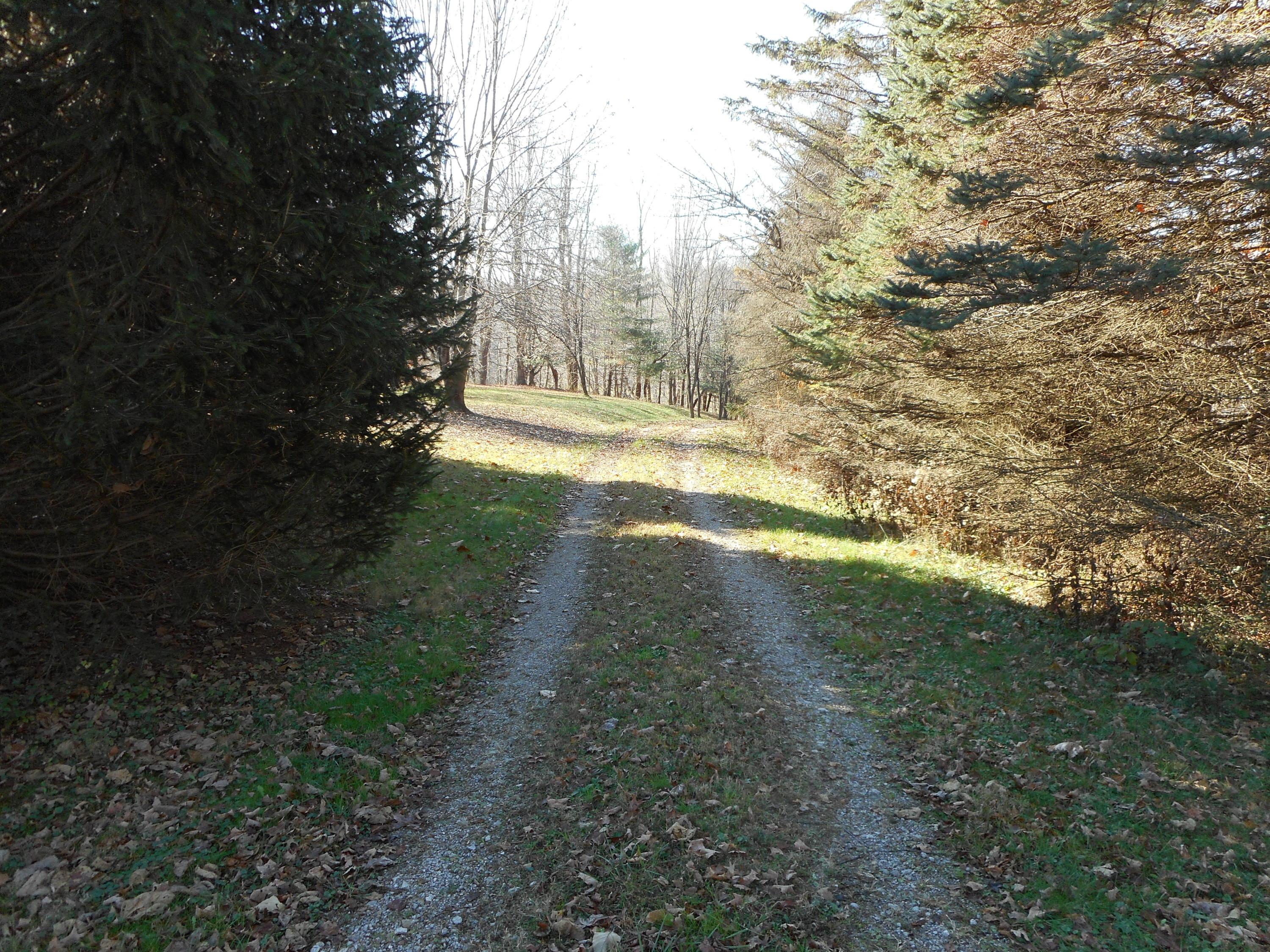 4164 Long Run Road Athens, OH 45701 - Photo 18 of 46