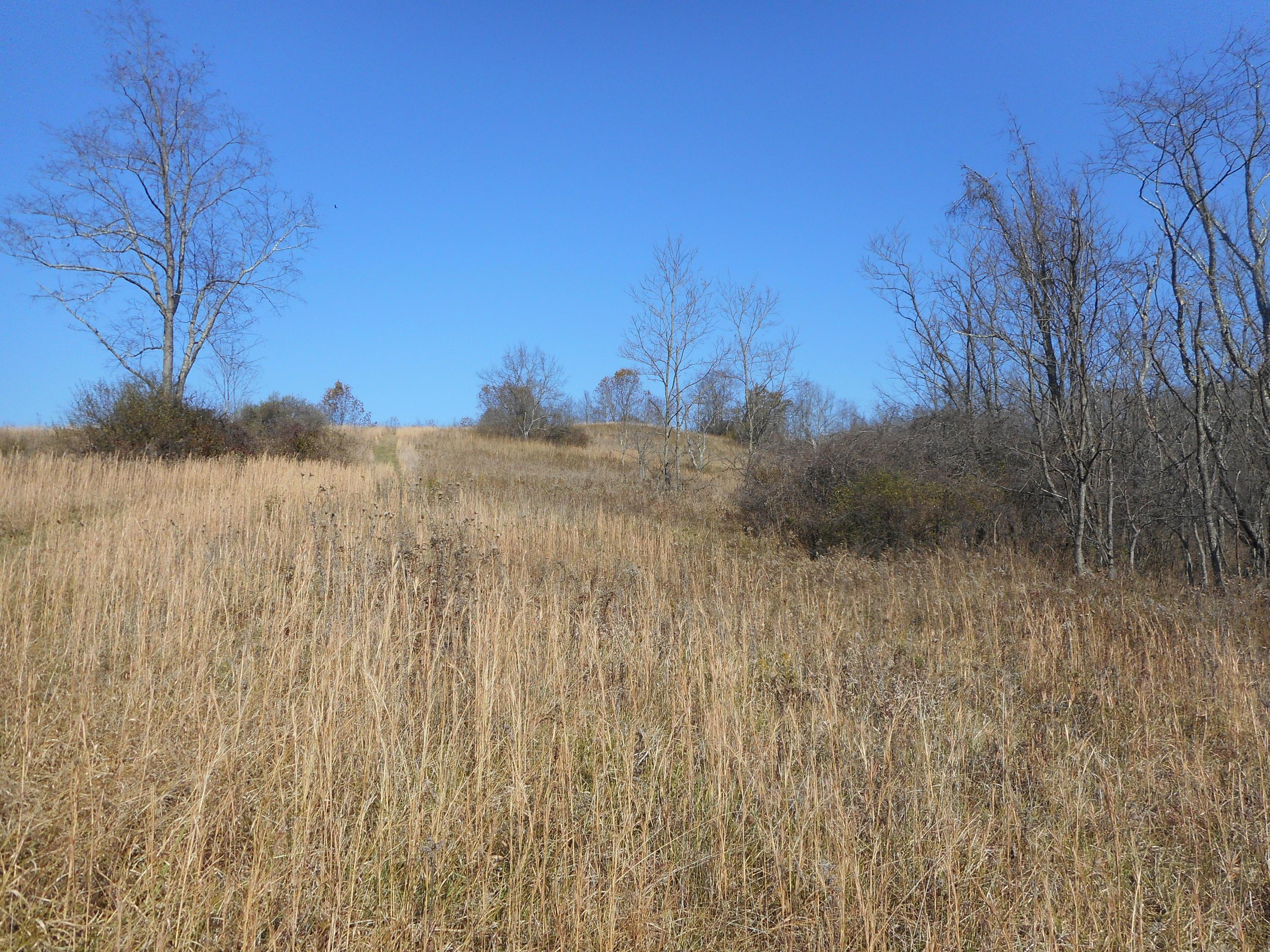 4164 Long Run Road Athens, OH 45701 - Photo 28 of 46