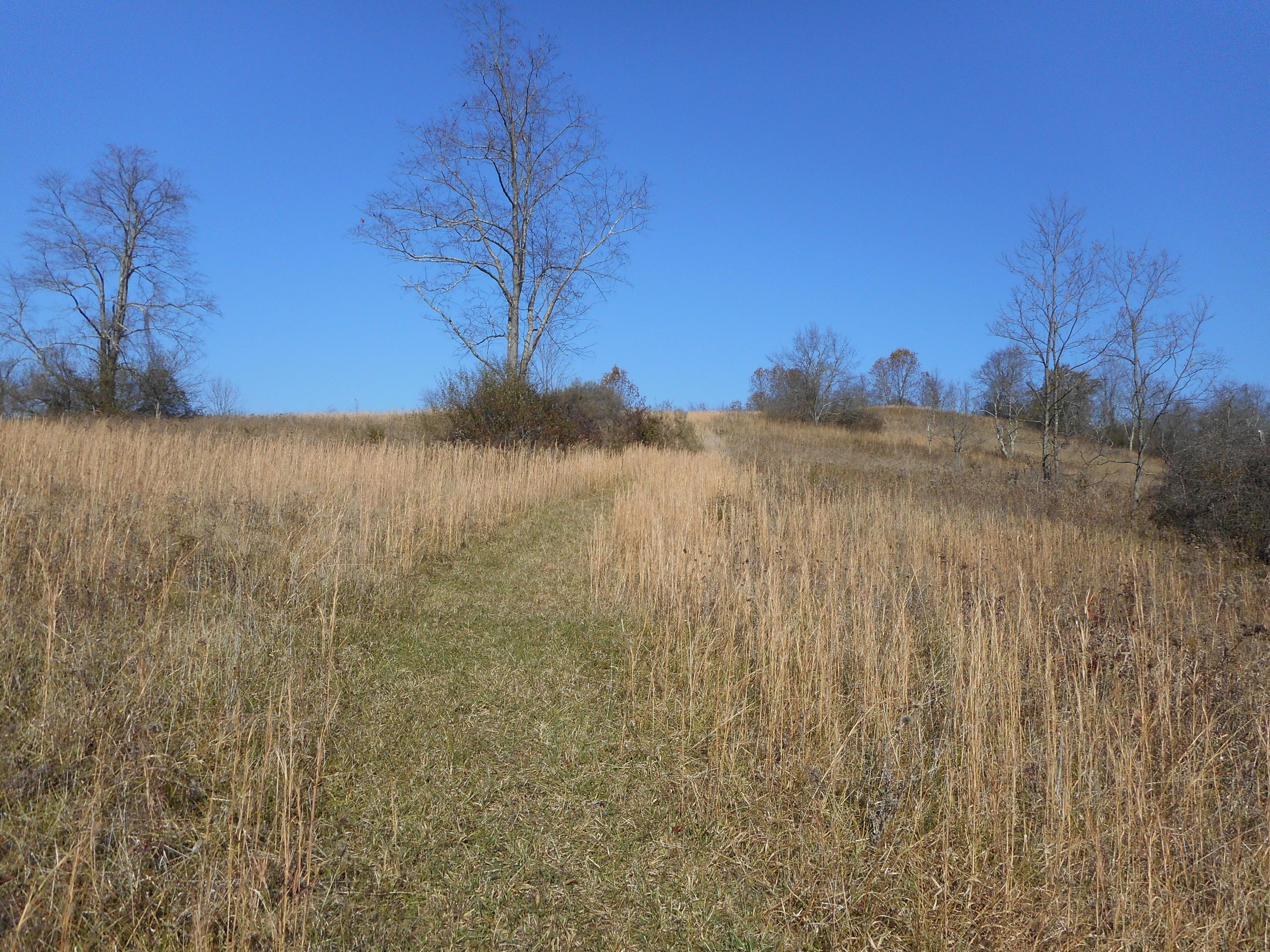 4164 Long Run Road Athens, OH 45701 - Photo 29 of 46