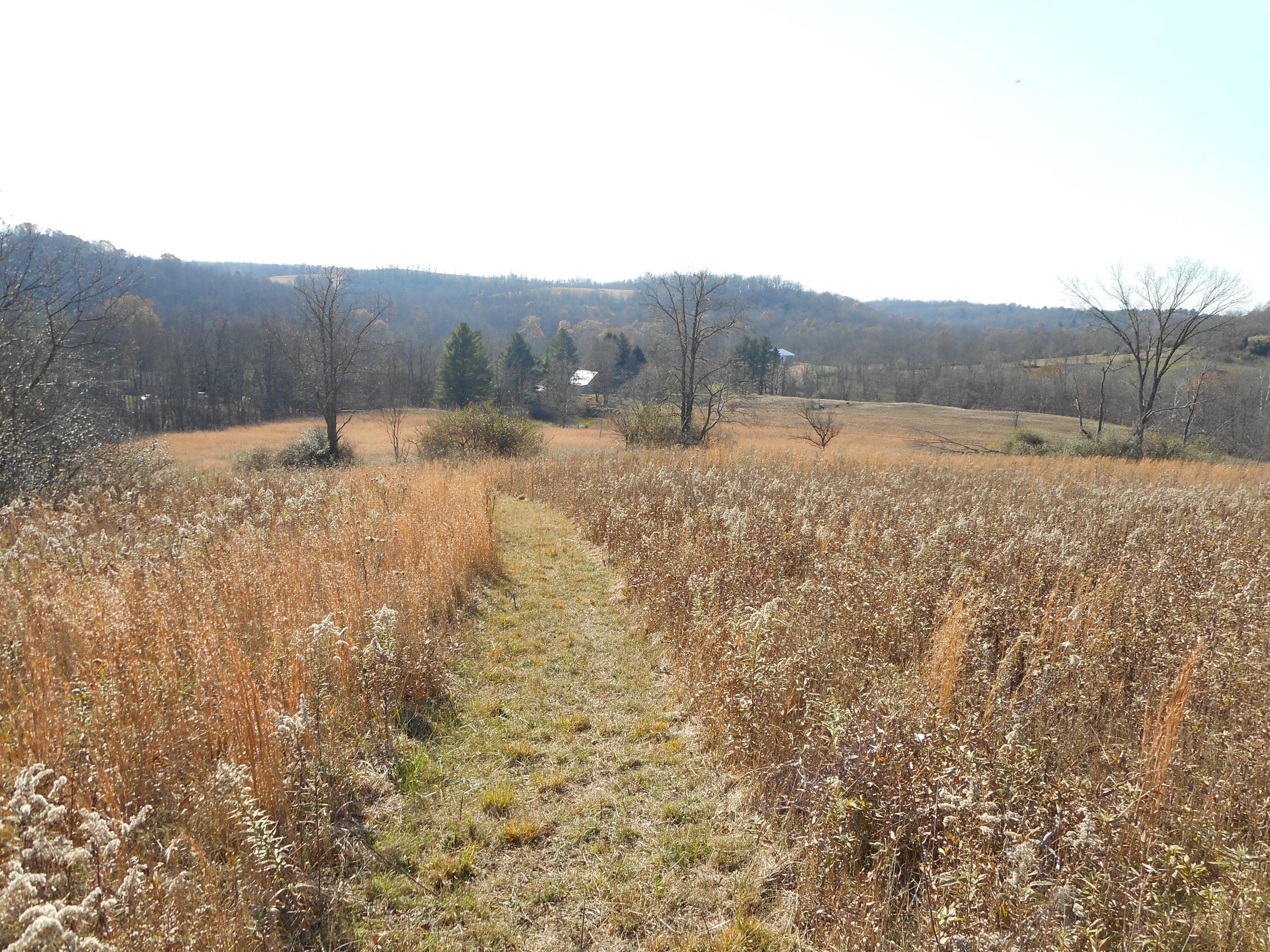 4164 Long Run Road Athens, OH 45701 - Photo 30 of 46