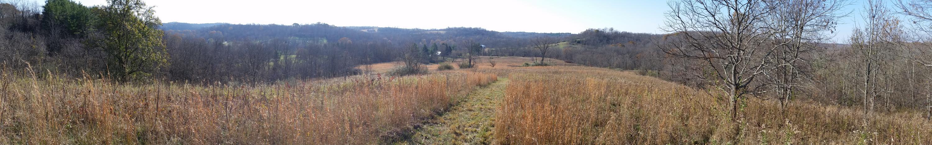 4164 Long Run Road Athens, OH 45701 - Photo 3 of 46
