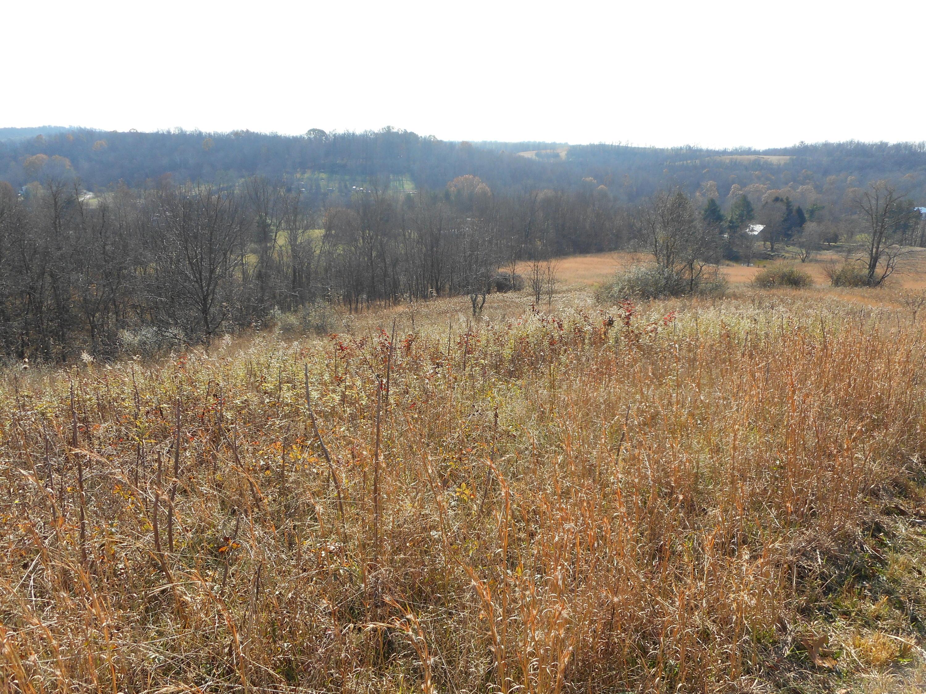 4164 Long Run Road Athens, OH 45701 - Photo 32 of 46