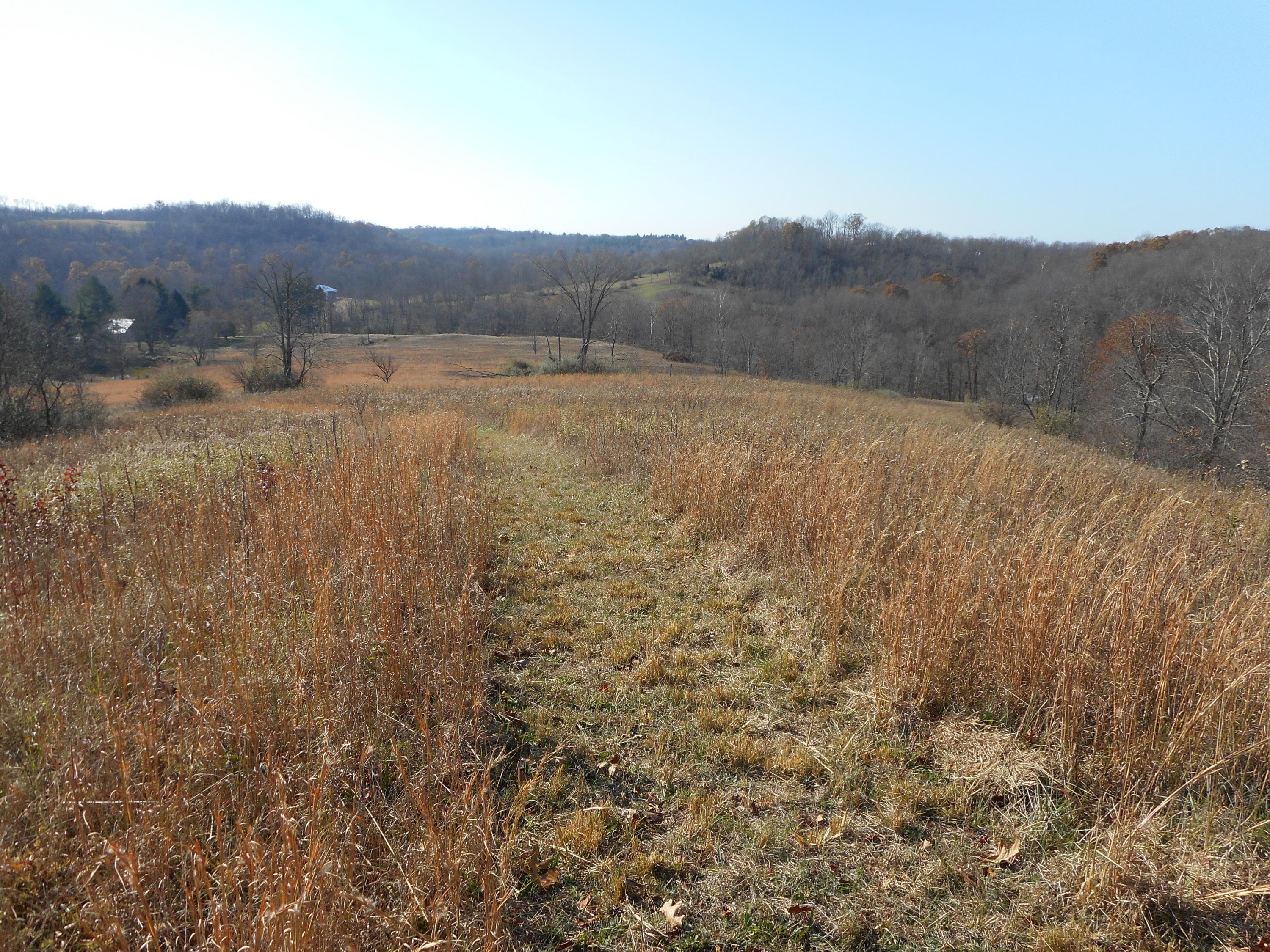 4164 Long Run Road Athens, OH 45701 - Photo 33 of 46