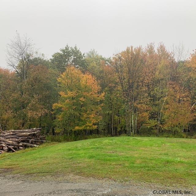18 Foster Road Grafton, NY 12052 - Photo 35 of 36 Photo 38