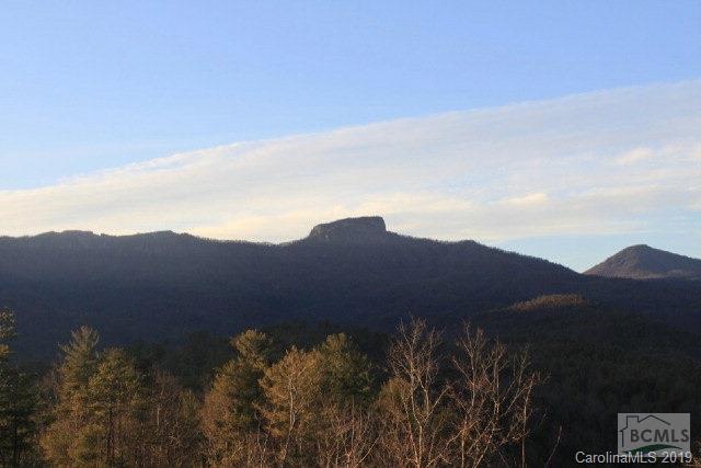 a view of a mountain