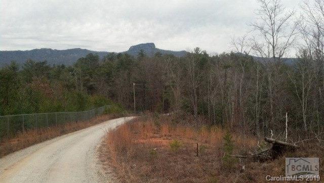 2.41-ac Table Rock Mountain Road, Unit 16 Morganton, NC 28655 - Photo 2 of 11 a view of a backyard