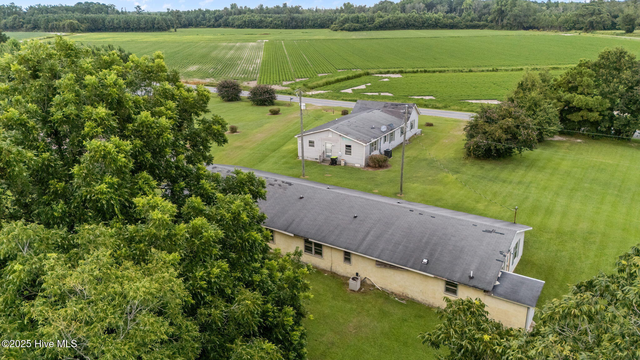 1814 Hickory Grove Road Williamston, NC 27892 - Photo 5 of 55 Rear Aerial 2