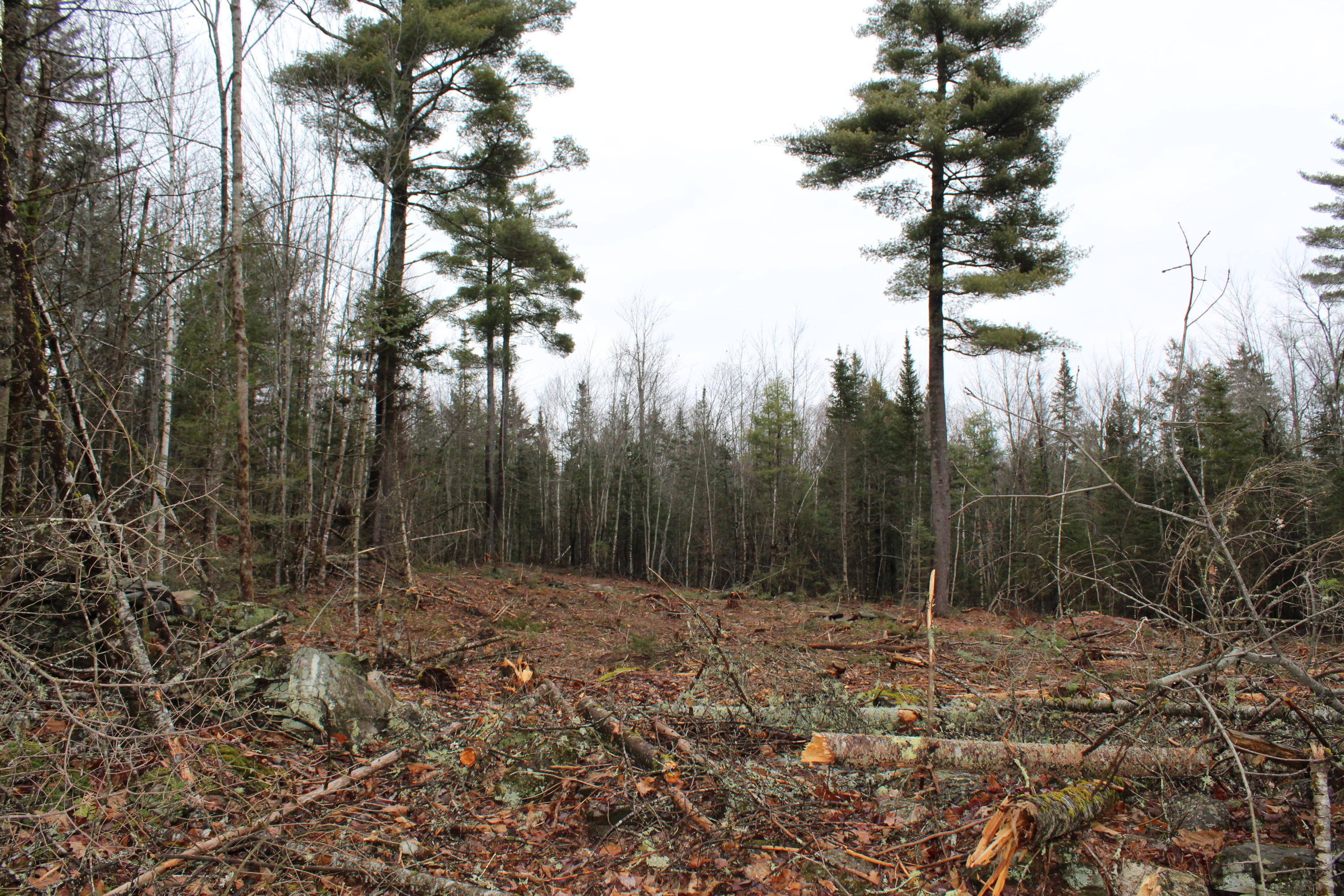 Map 7-lot Map 7-lot Pond Hill Rd Brooks Brooks, ME 04921 - Photo 1 of 15 Building area
