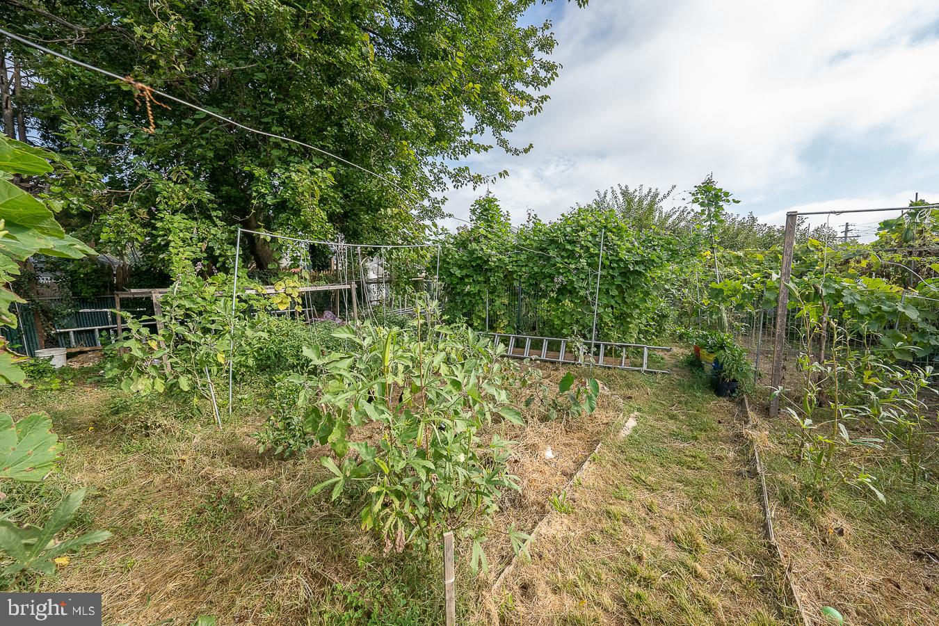 7201 Wayne Avenue Upper Darby, PA 19082 - Photo 54 of 64