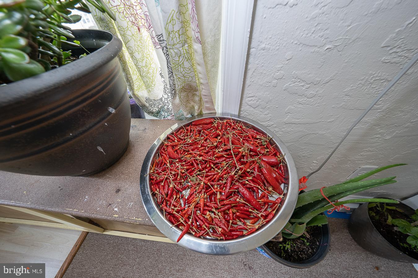 7201 Wayne Avenue Upper Darby, PA 19082 - Photo 10 of 64