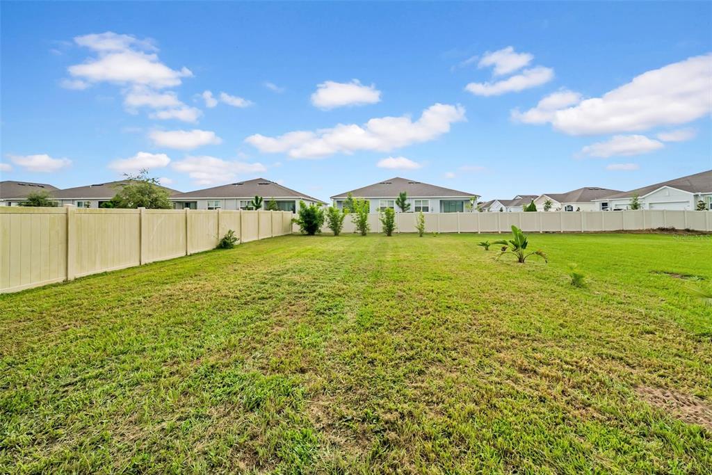 31440 Barrel Wave Way Wesley Chapel, FL 33545 - Photo 50 of 73