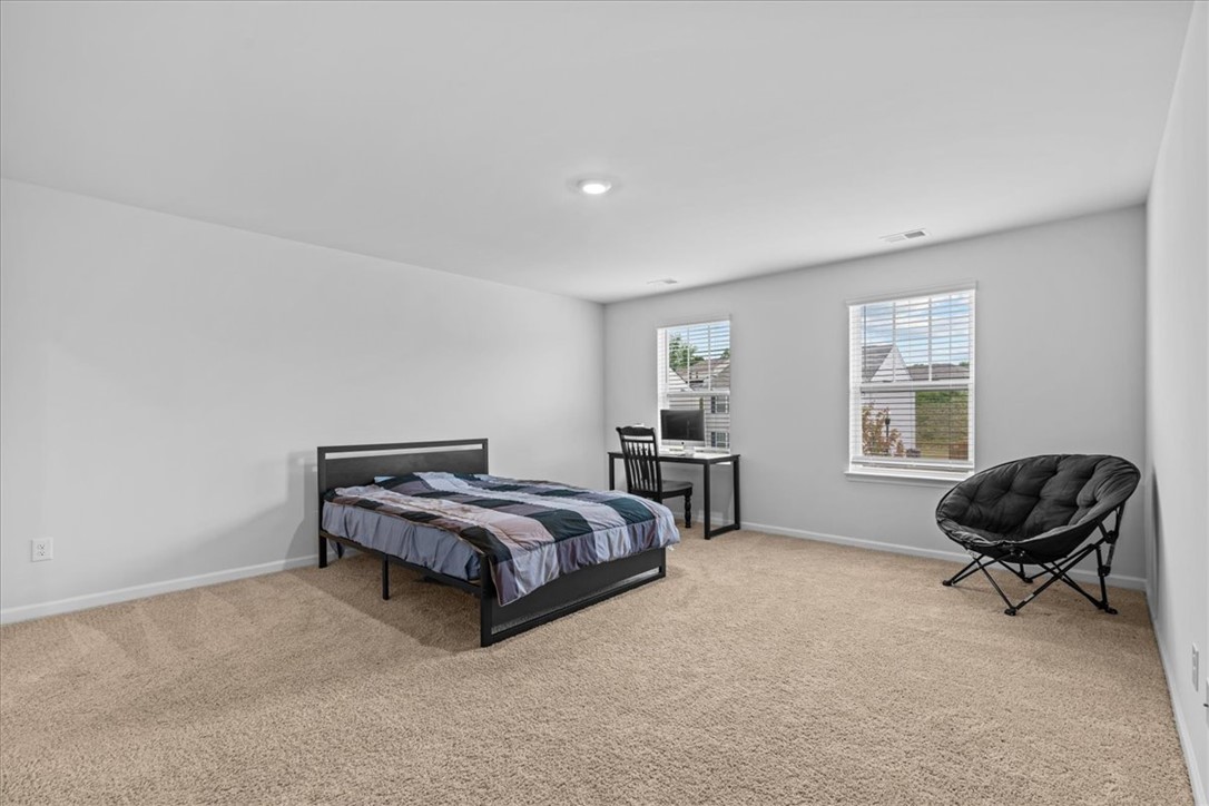 235 Millhone Way Pendleton, SC 29670 - Photo 18 of 35