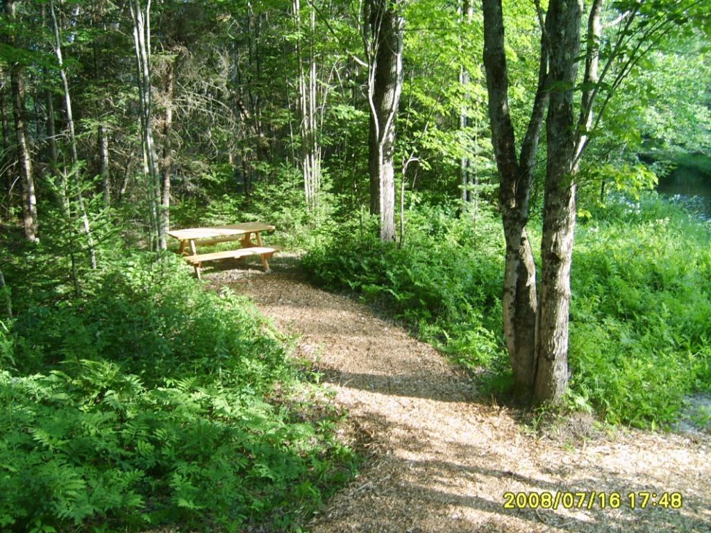 3a Halls Bridge Road Canaan, ME 04924 - Photo 5 of 11 Shared ownership to Black Stream