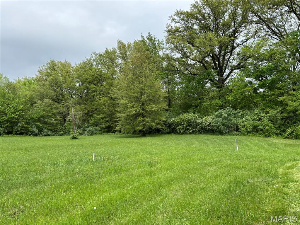 146 Bunny Trail Carlyle, IL 62231 - Photo 2 of 5