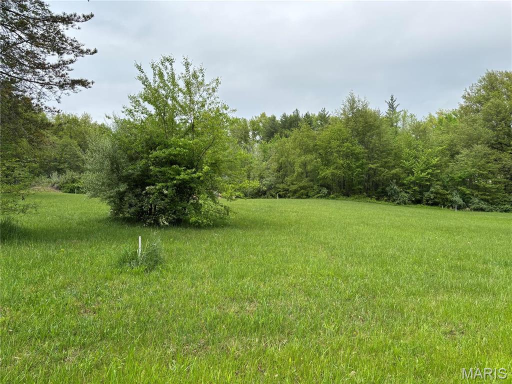 146 Bunny Trail Carlyle, IL 62231 - Photo 3 of 5