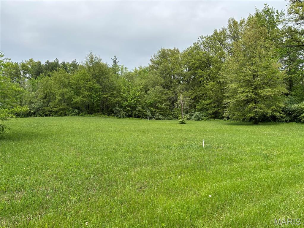 146 Bunny Trail Carlyle, IL 62231 - Photo 4 of 5