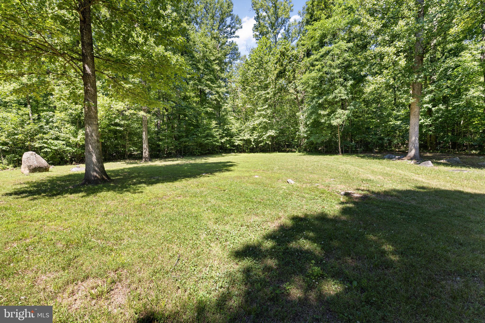 1319 Champe Plain Road Etlan, VA 22719 - Photo 43 of 63 Backyard leads to Shenandoah National Park