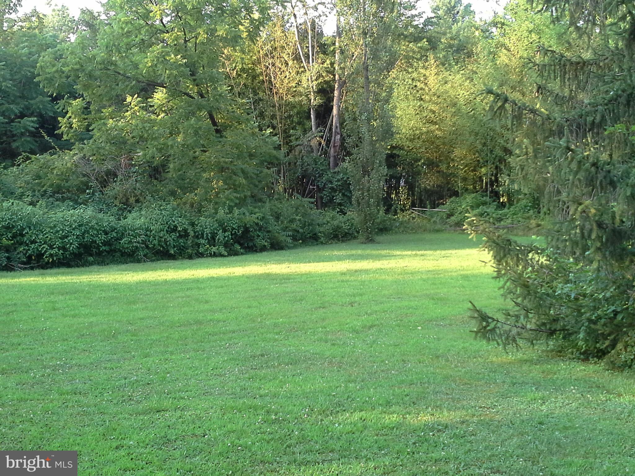 1876 Appleton Road Elkton, MD 21921 - Photo 13 of 24 PRIVATE YARD, WHAT A GREAT PLACE FOR KIDS