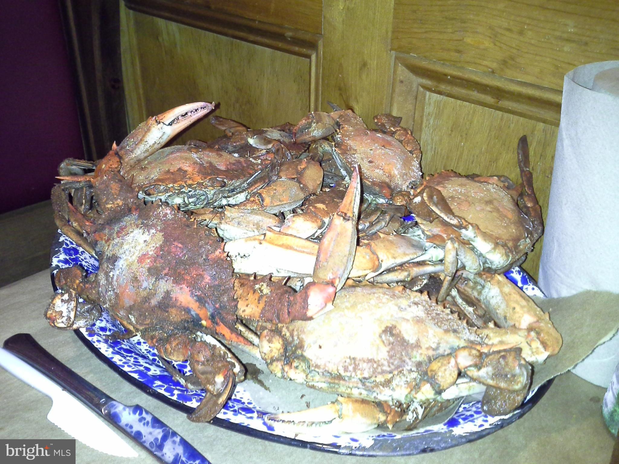 1876 Appleton Road Elkton, MD 21921 - Photo 23 of 24 CECIL COUNTY SEAFOOD M 'm M'm GOOD!!