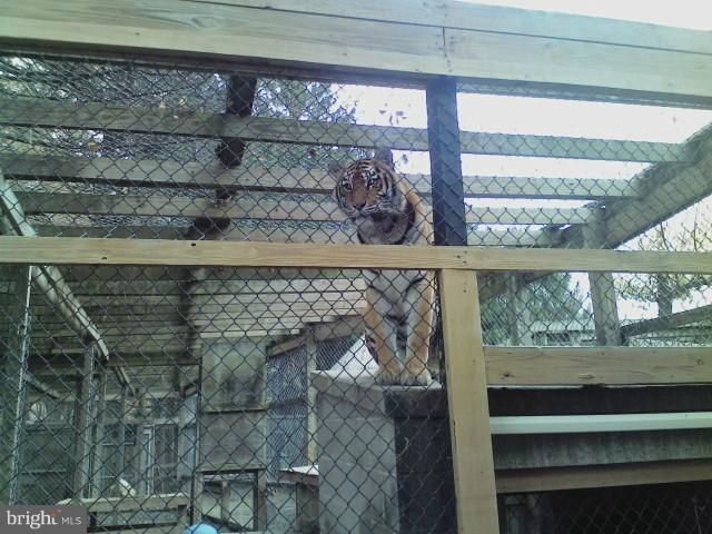 1876 Appleton Road Elkton, MD 21921 - Photo 24 of 24 PLUMPTON ZOO 10 MIN AWAY