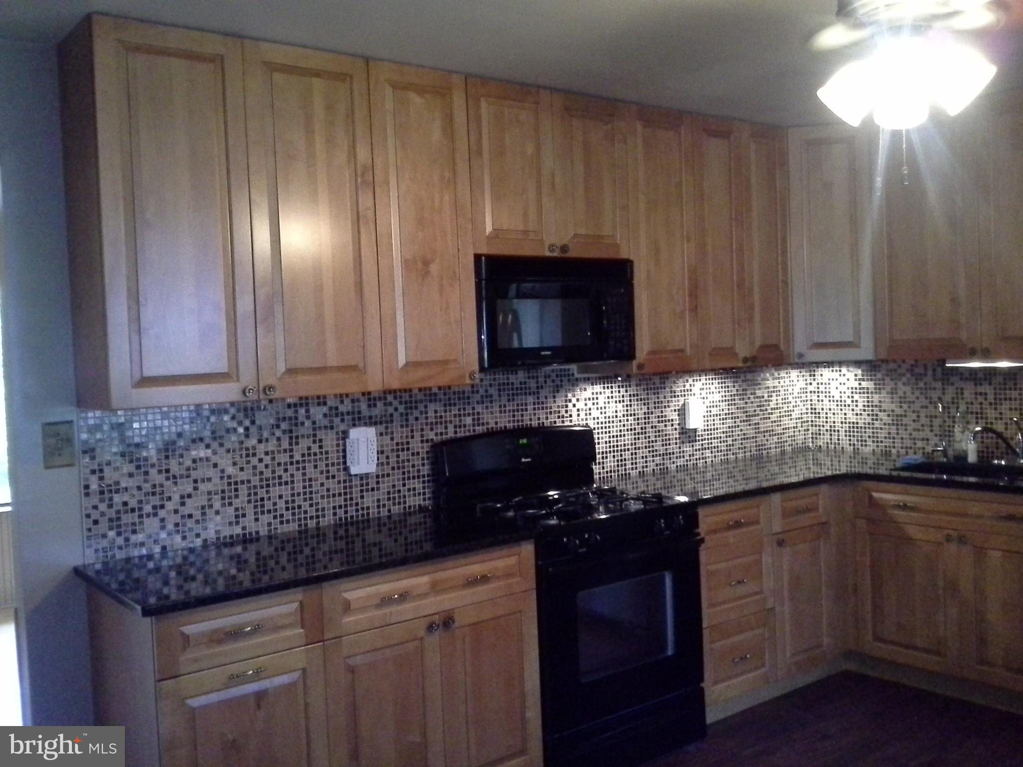 1876 Appleton Road Elkton, MD 21921 - Photo 7 of 24 CUSTOM KITCHEN!!!!