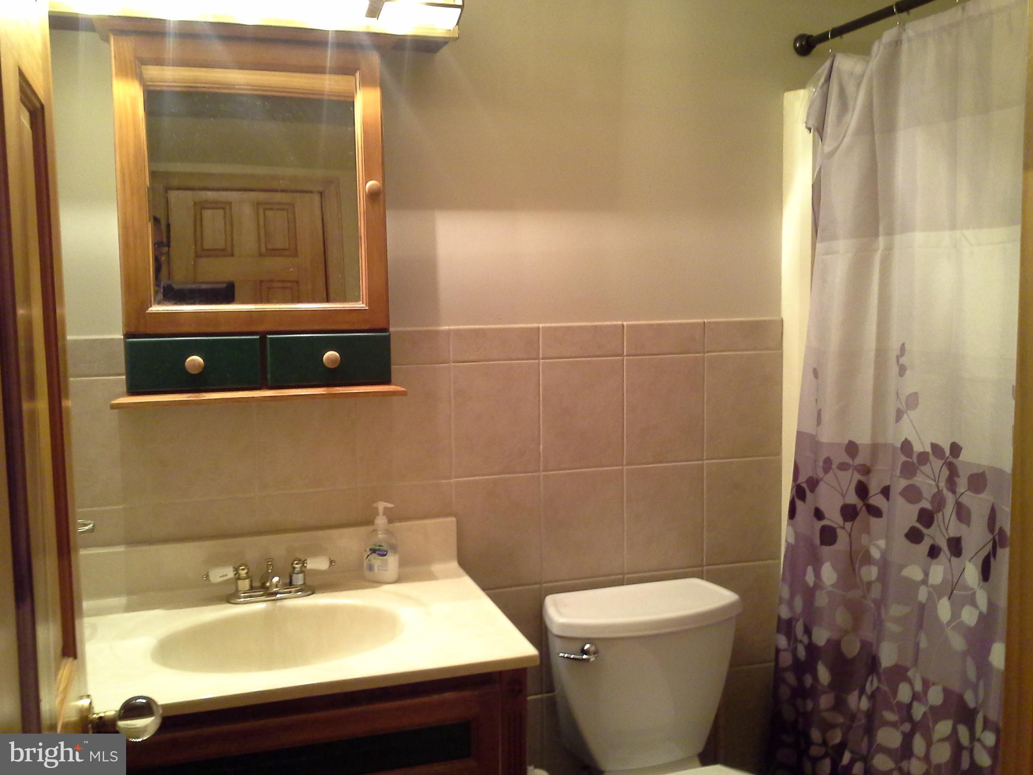 1876 Appleton Road Elkton, MD 21921 - Photo 10 of 24 Bath