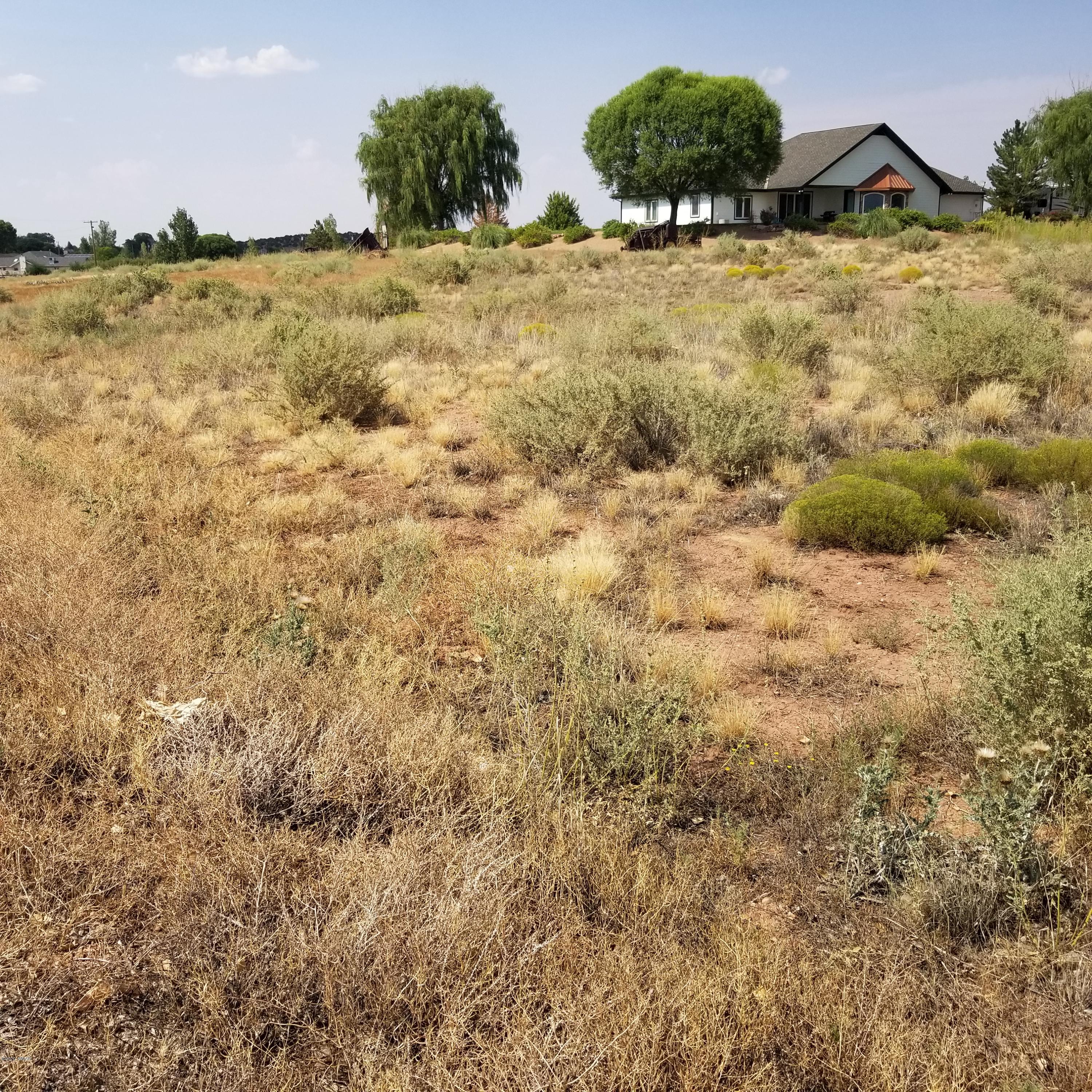 3.17-ac 3.17-ac Bourdon Ranch Road Taylor, AZ 85939 - Photo 11 of 12