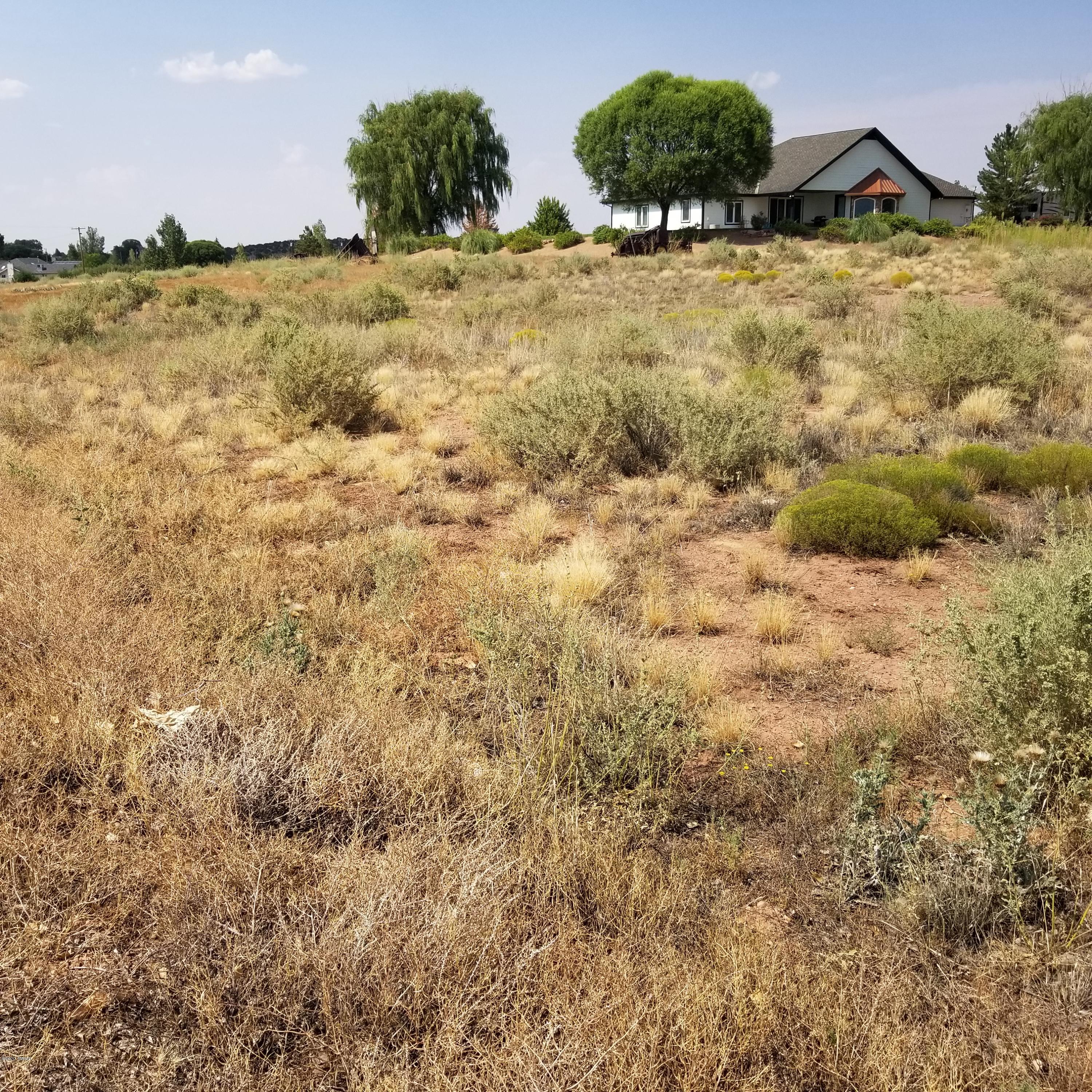 3.17-ac 3.17-ac Bourdon Ranch Road Taylor, AZ 85939 - Photo 12 of 12