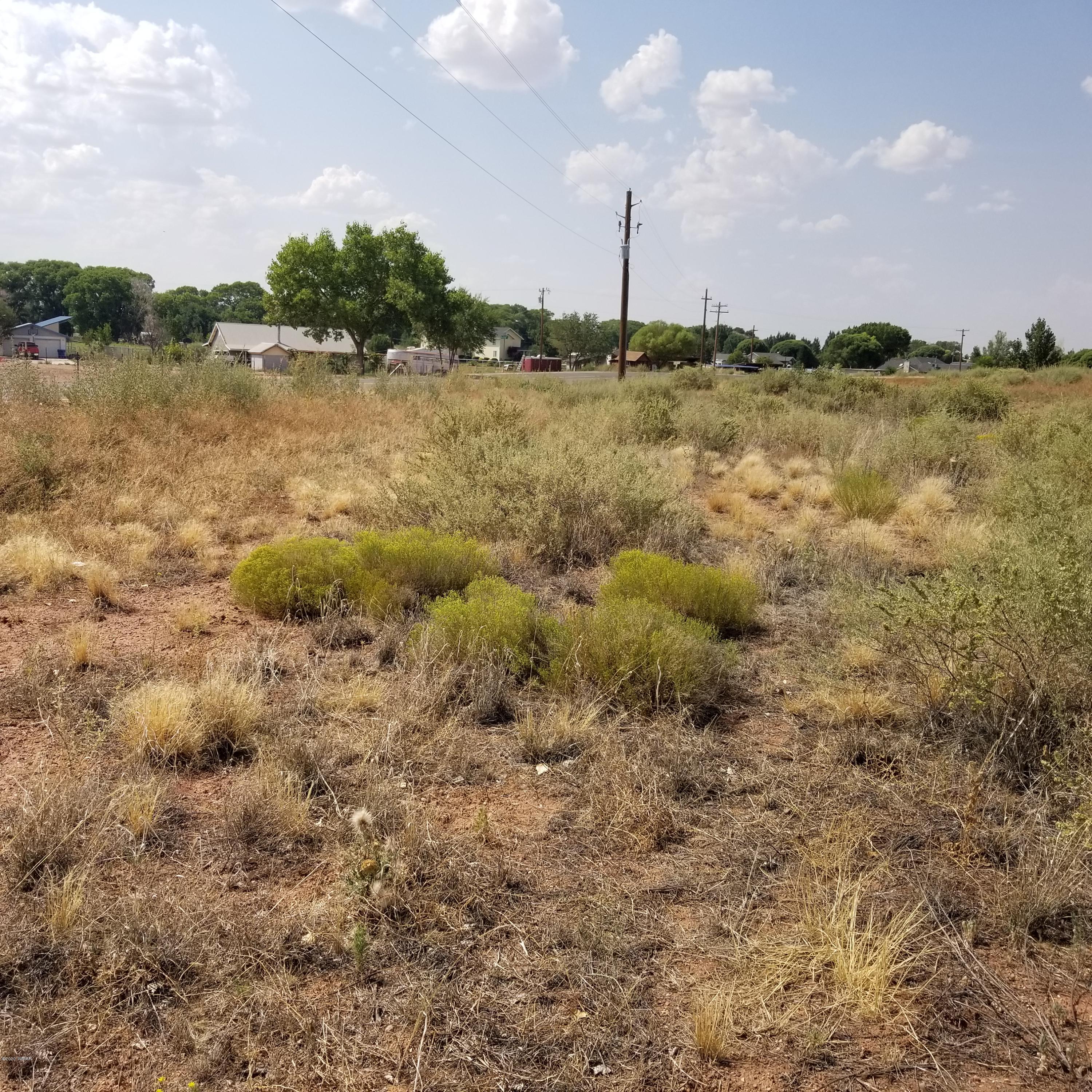 3.17-ac 3.17-ac Bourdon Ranch Road Taylor, AZ 85939 - Photo 2 of 12