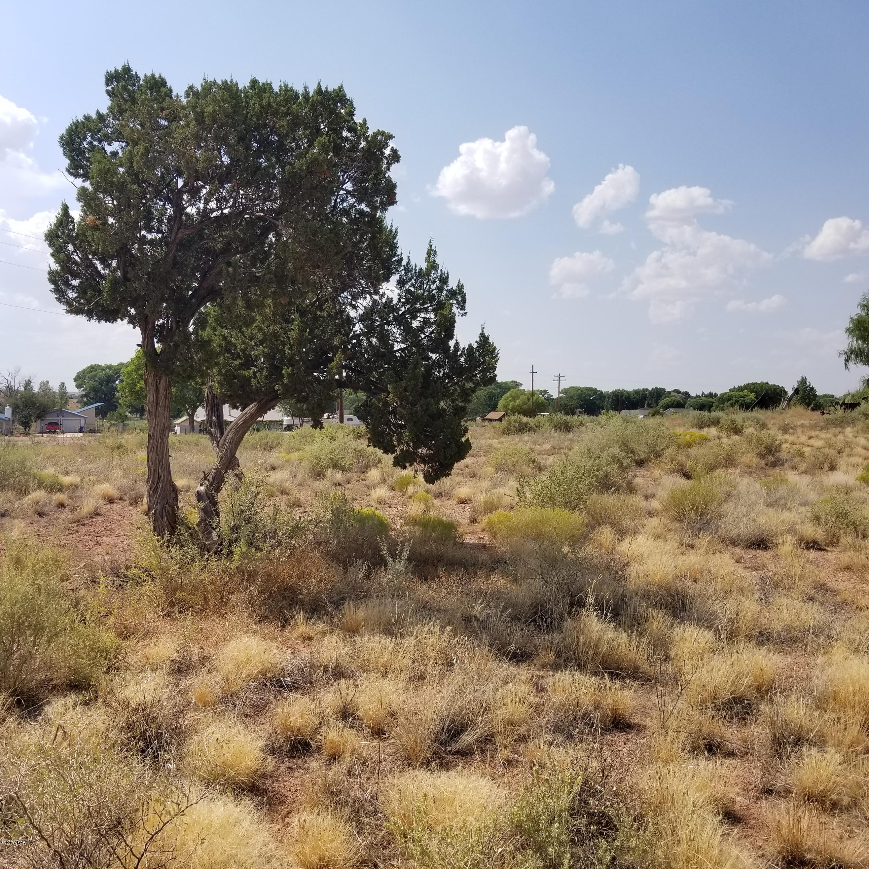3.17-ac 3.17-ac Bourdon Ranch Road Taylor, AZ 85939 - Photo 3 of 12