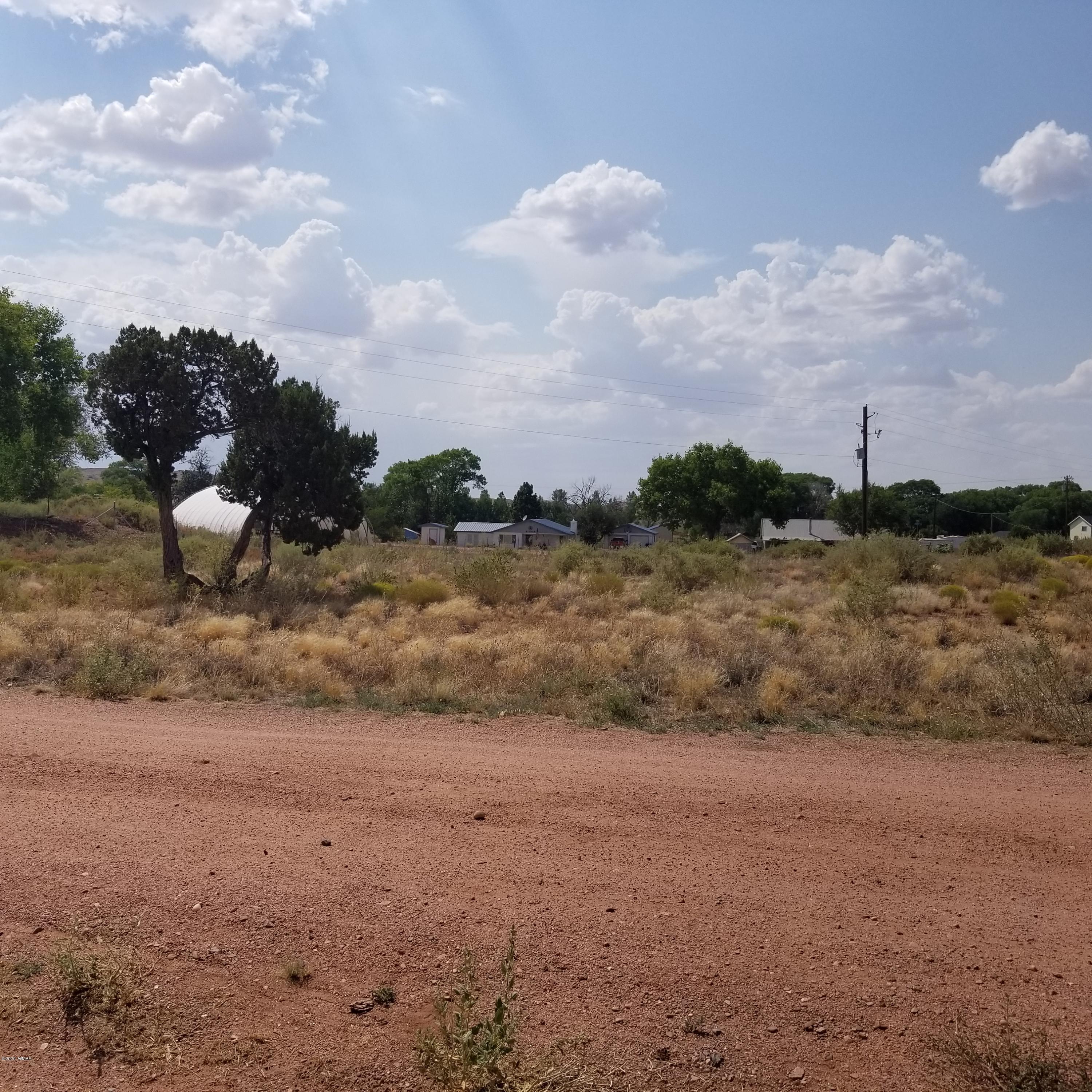3.17-ac 3.17-ac Bourdon Ranch Road Taylor, AZ 85939 - Photo 4 of 12