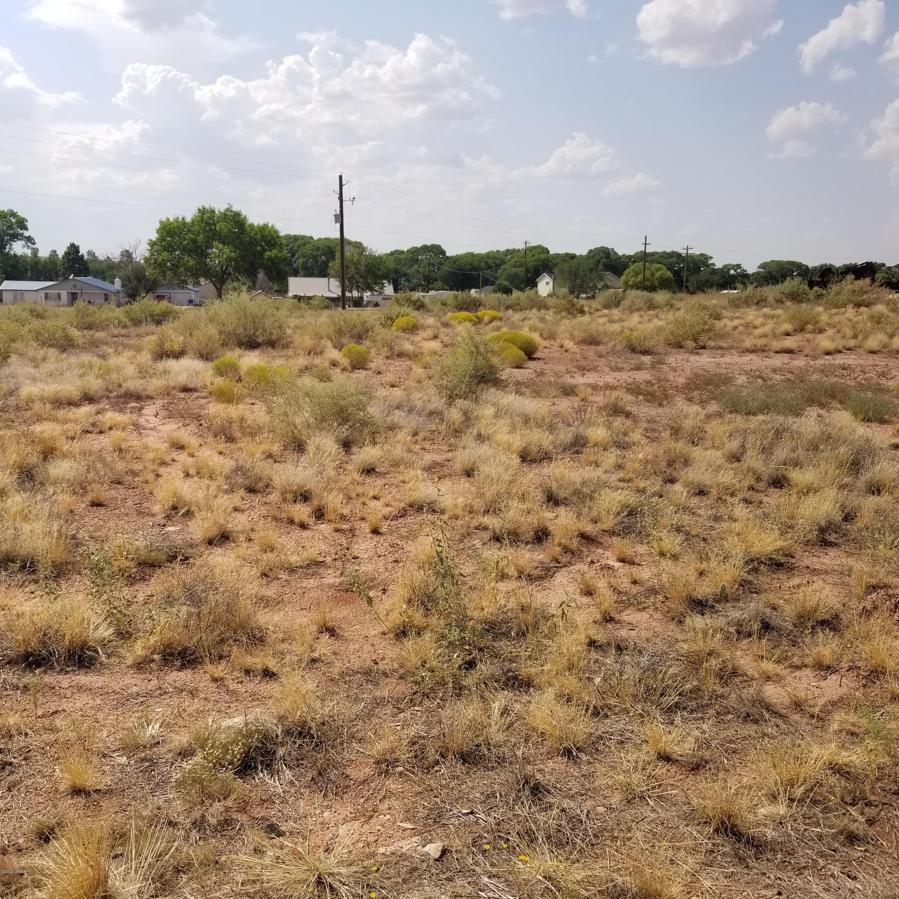 3.17-ac 3.17-ac Bourdon Ranch Road Taylor, AZ 85939 - Photo 5 of 12