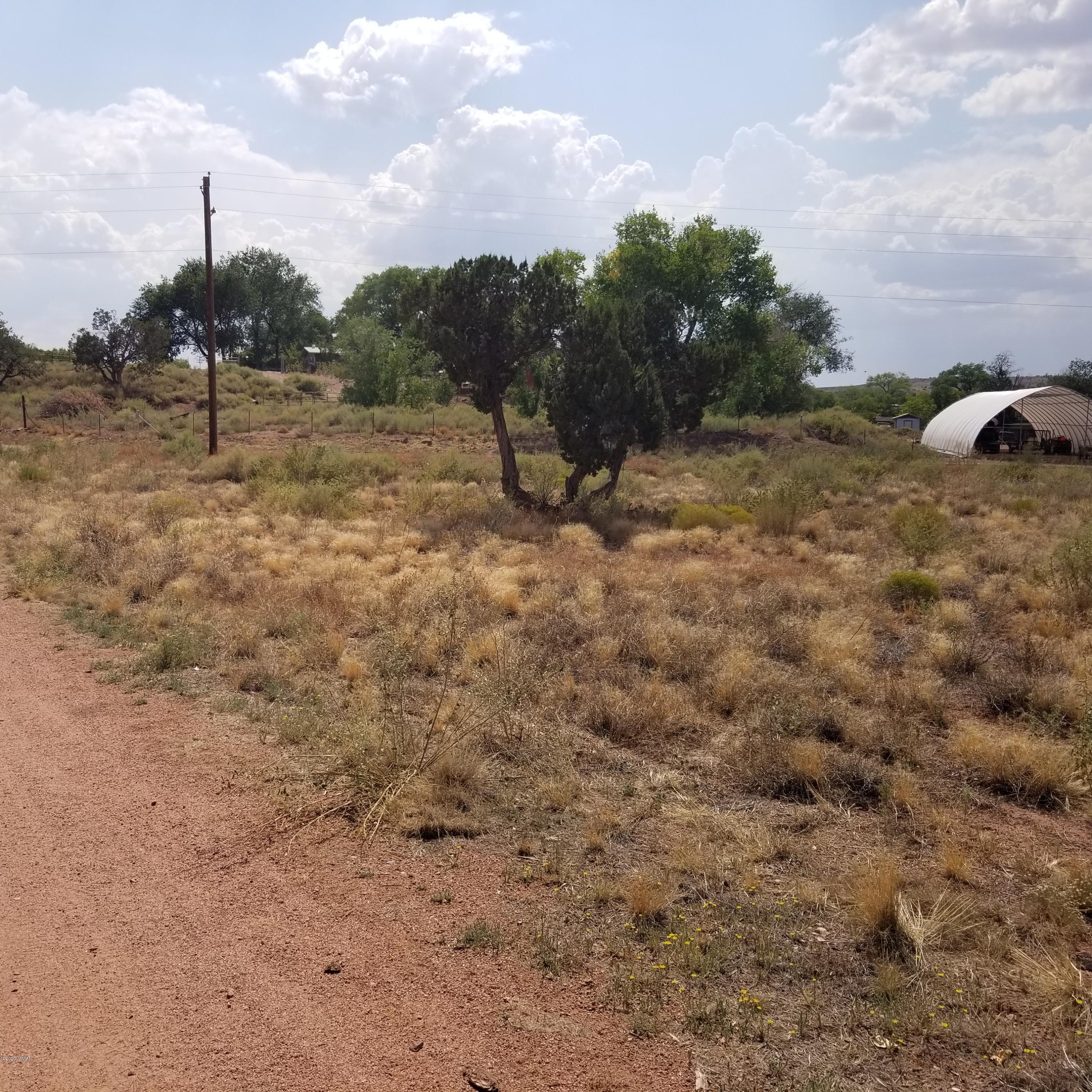 3.17-ac 3.17-ac Bourdon Ranch Road Taylor, AZ 85939 - Photo 6 of 12