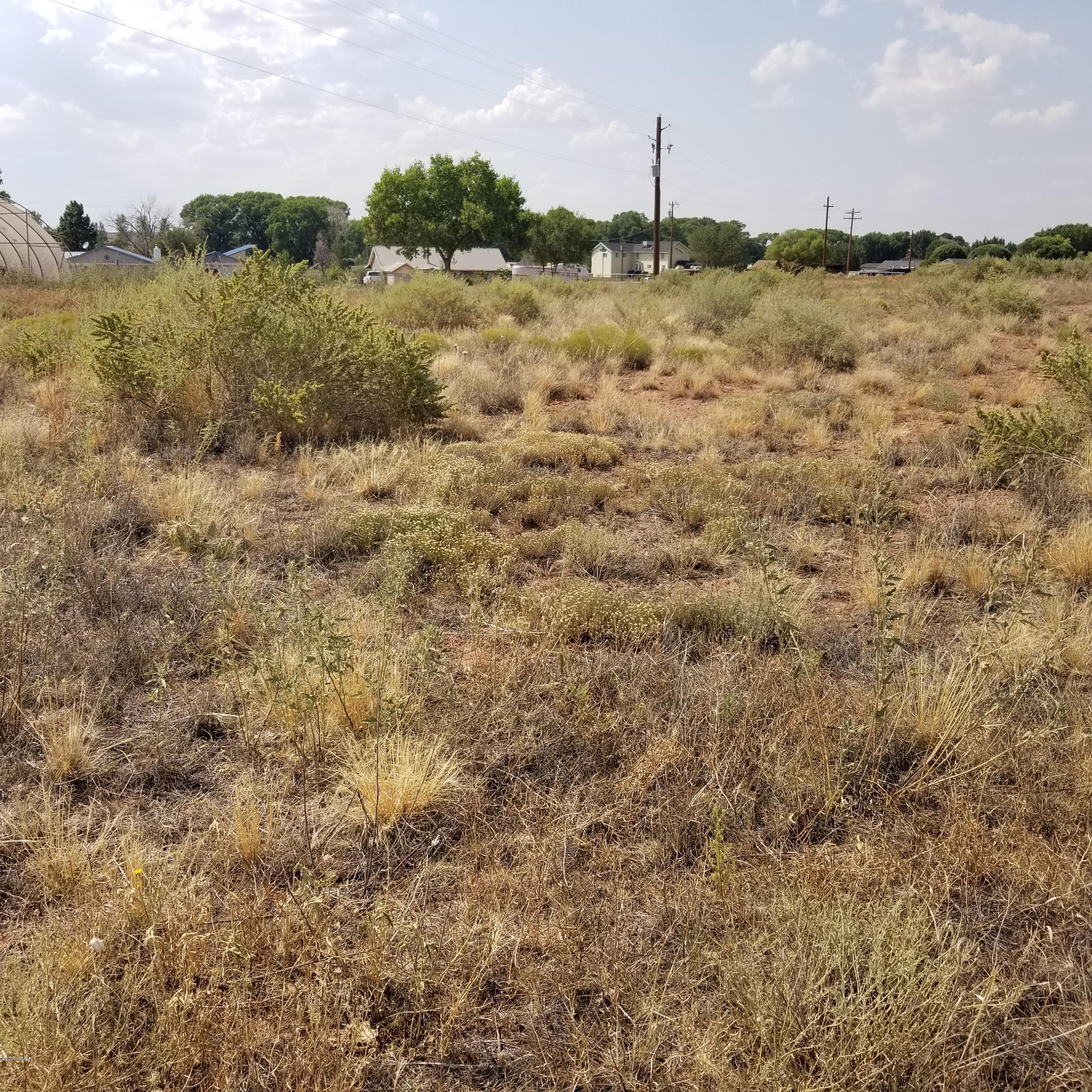 3.17-ac 3.17-ac Bourdon Ranch Road Taylor, AZ 85939 - Photo 7 of 12
