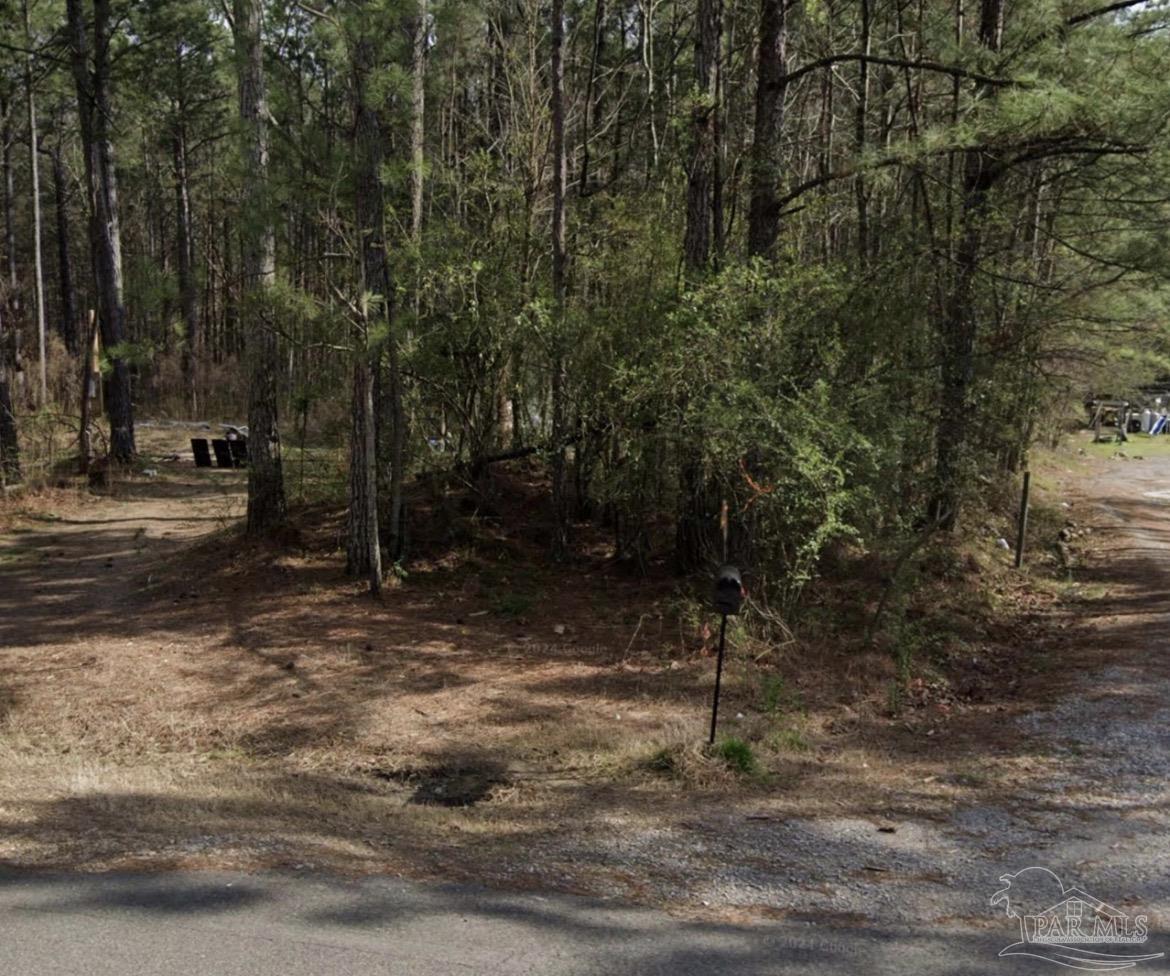 2085 Creel Road Morris, AL 35116 - Photo 1 of 3 a view of a forest with trees